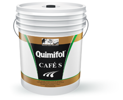 Quimifol :: Quimifol Café S Quimifol :: Quimifol Café S